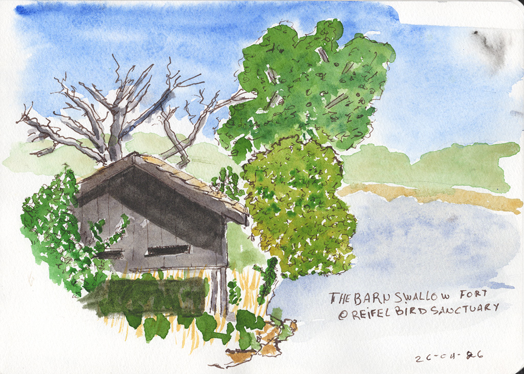 Ink and watercolor sketch of a small barn swallow nesting structure surrounded by trees and shrubs at the George Reifel Bird Sanctuary, with the title “The Barn Swallow Fort @ Reifel Bird Sanctuary” handwritten at lower right.