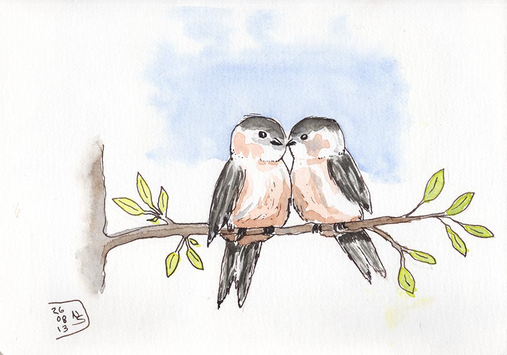 Ink and watercolor sketch of two small birds touching beaks while perched together on a leafy branch.