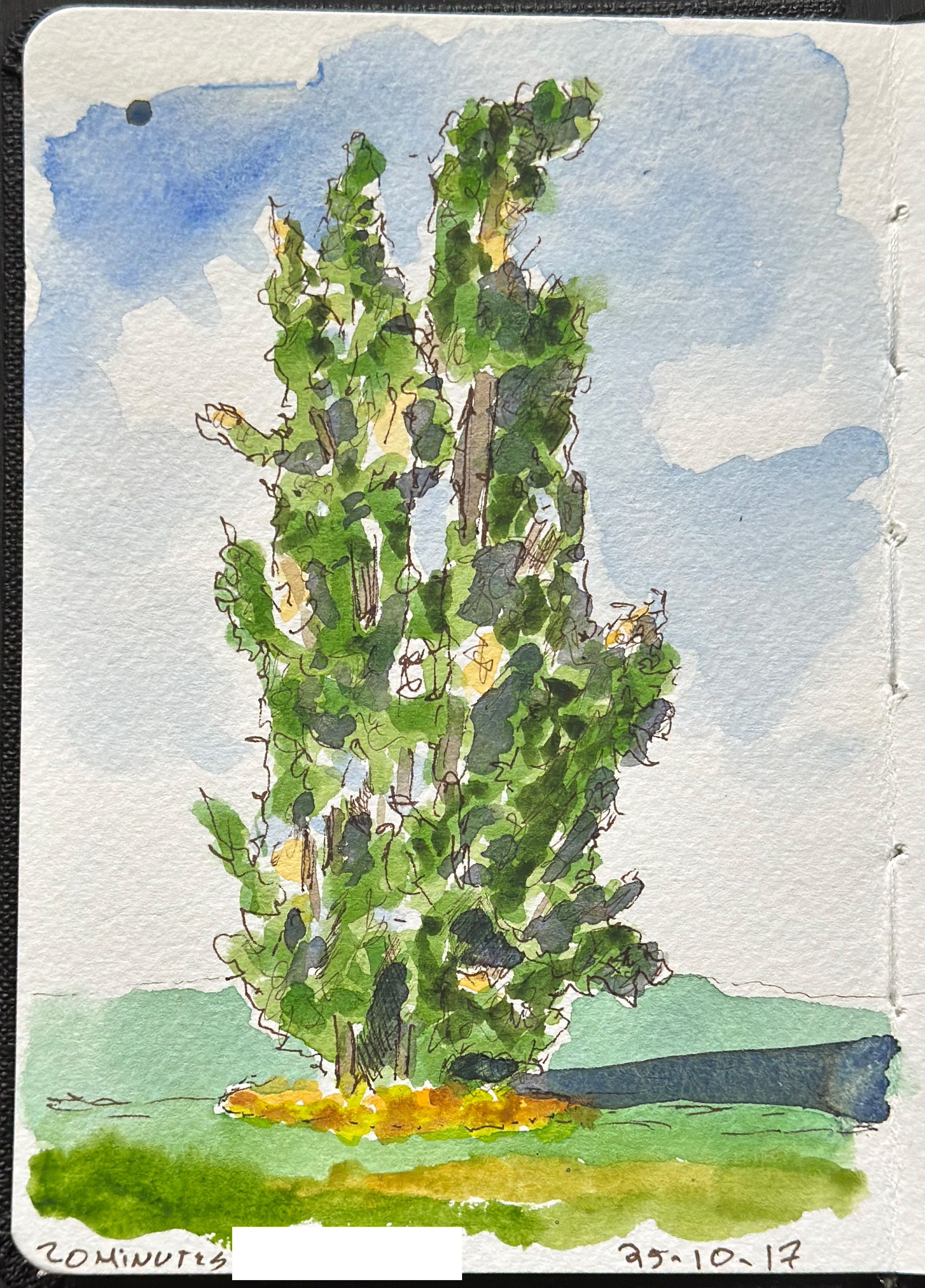 Line and wash sketch. 